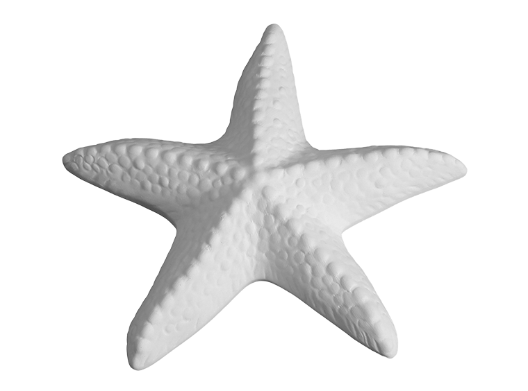 Spiny Starfish