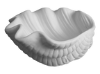 Giant Clam Shell Dish