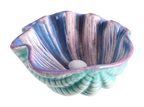Giant Clam Shell Dish