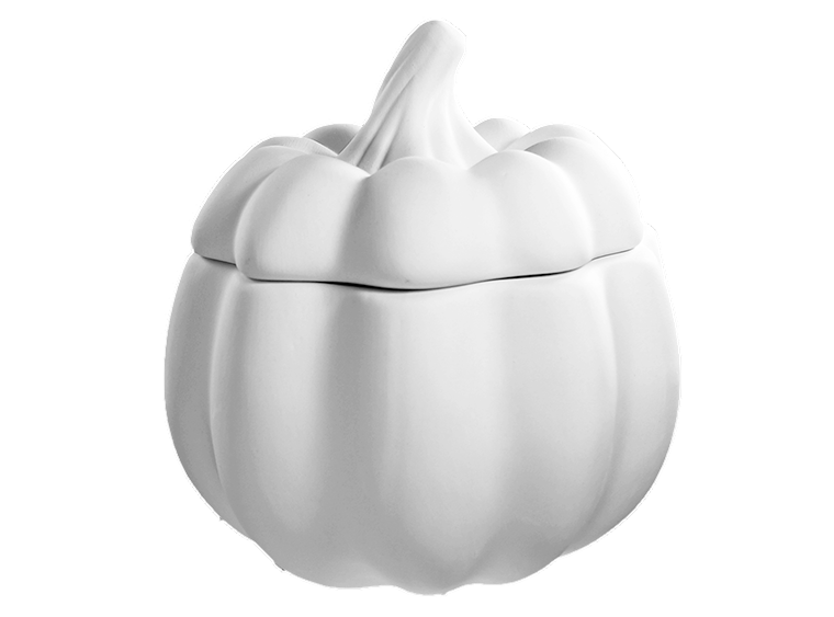 Pumpkin Container