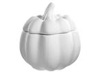 Pumpkin Container