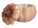 Pumpkin Container