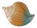 Big Shell Dish