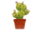 Potted Cactus Ornament