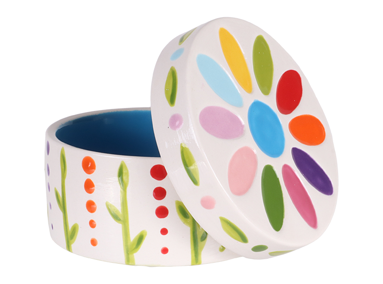 Girl Scout Daisy Box