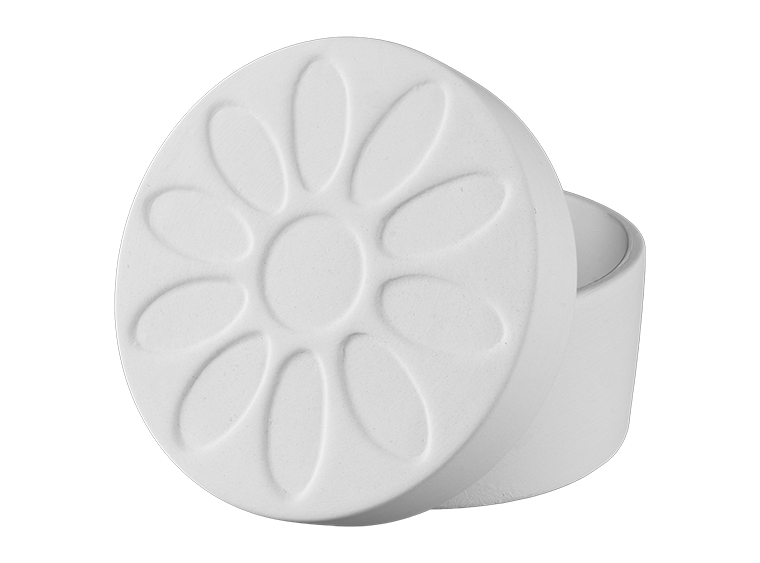 Girl Scout Daisy Box