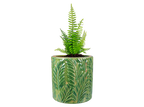Tropical Fenn Planter