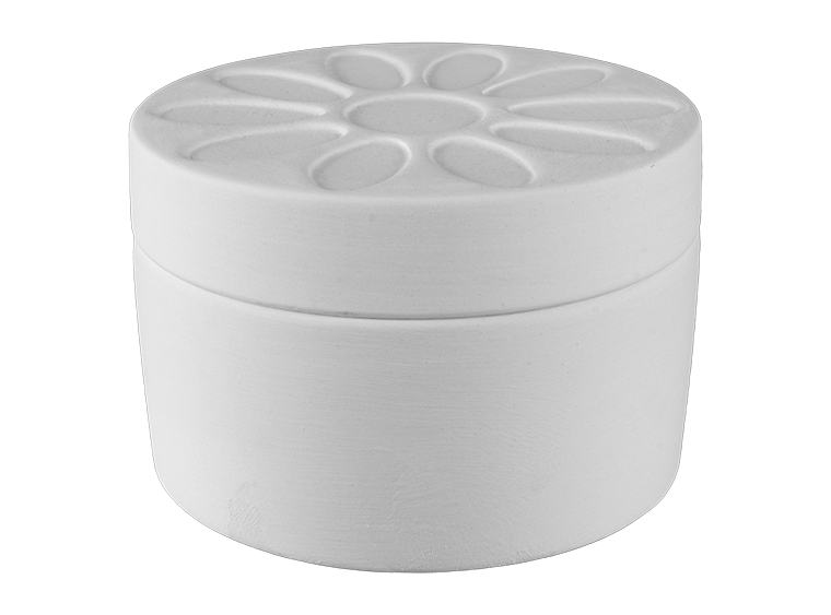 Girl Scout Daisy Box