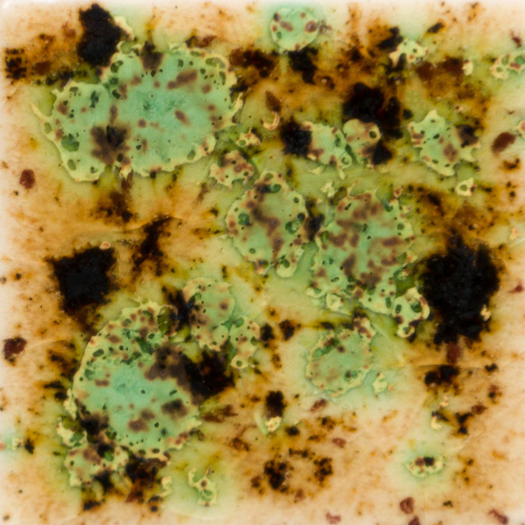 S-2709 Cappuccino Mint